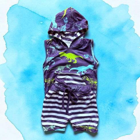Boys Dino Hoodie and Matching Shorts Set