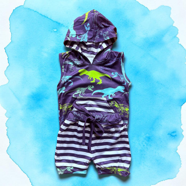 Boys Dino Hoodie and Matching Shorts Set